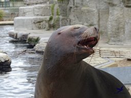 Tiergarten Schönbrunn am 24.02.2026